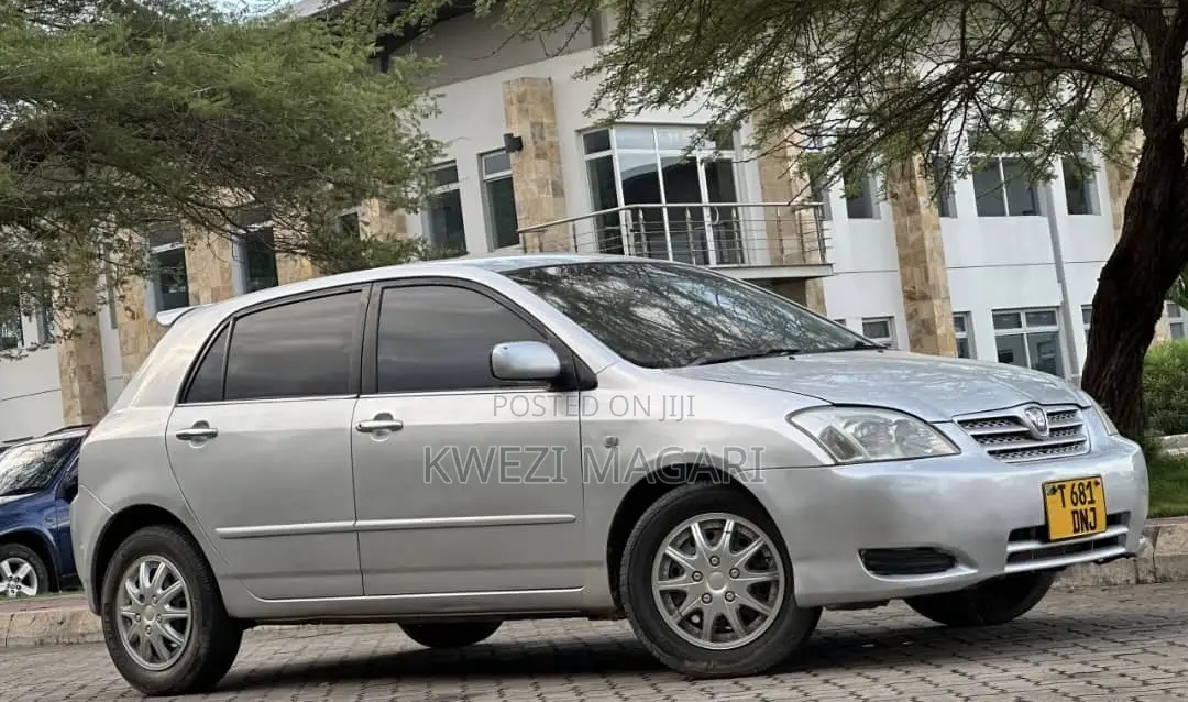 Toyota Corolla RunX 2004 Silver