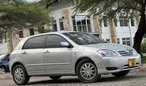 Toyota Corolla RunX 2004 Silver