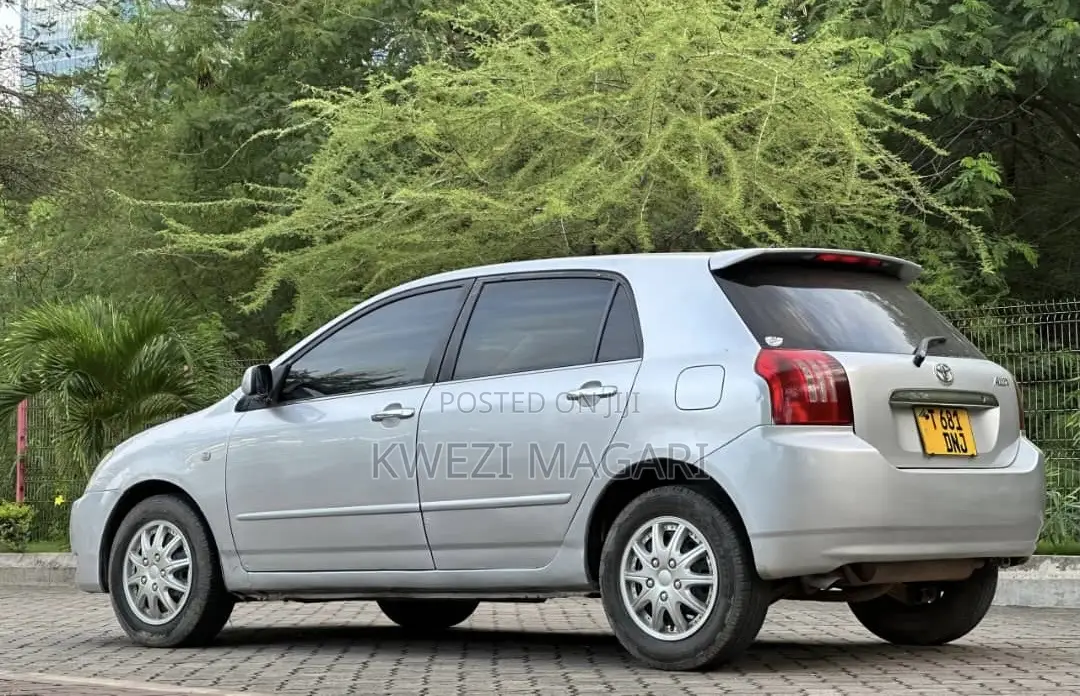 Toyota Corolla RunX 2004 Silver