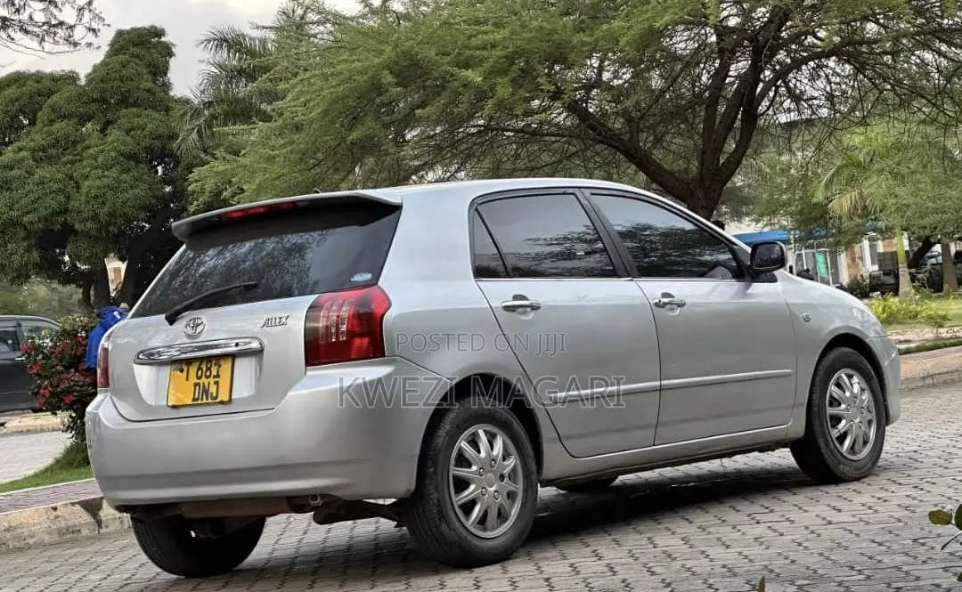 Toyota Corolla RunX 2004 Silver