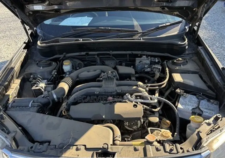 Subaru Forester 2011 Gray