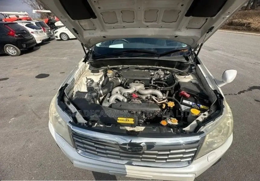 Subaru Forester 2009 Pearl