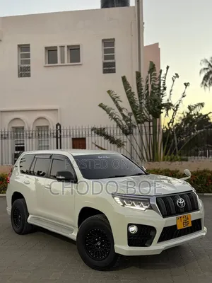 Toyota Land Cruiser Prado 2010 Pearl