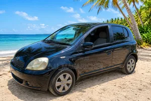 Toyota Vitz 2002 Blue