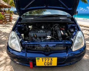 Toyota Vitz 2002 Blue