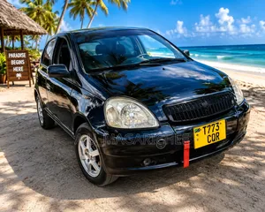 Toyota Vitz 2002 Blue