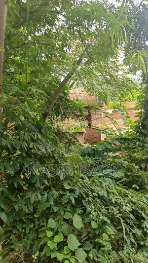 Plot for Sale Mwanza