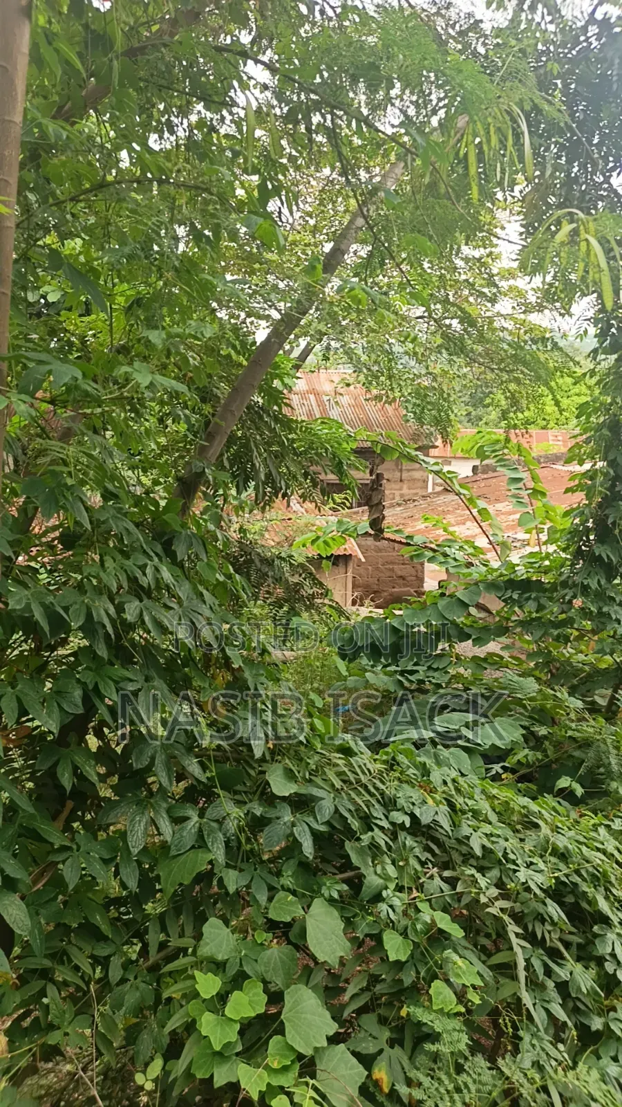 Plot for Sale Mwanza