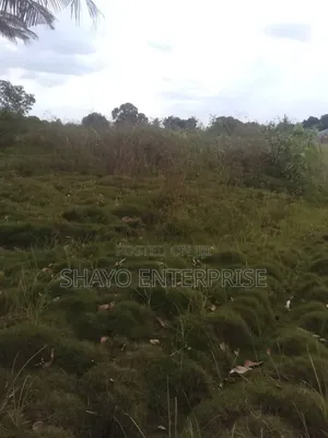 Kiwanja Kinauzwa Mabwepande