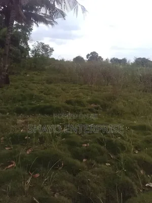 Kiwanja Kinauzwa Mabwepande