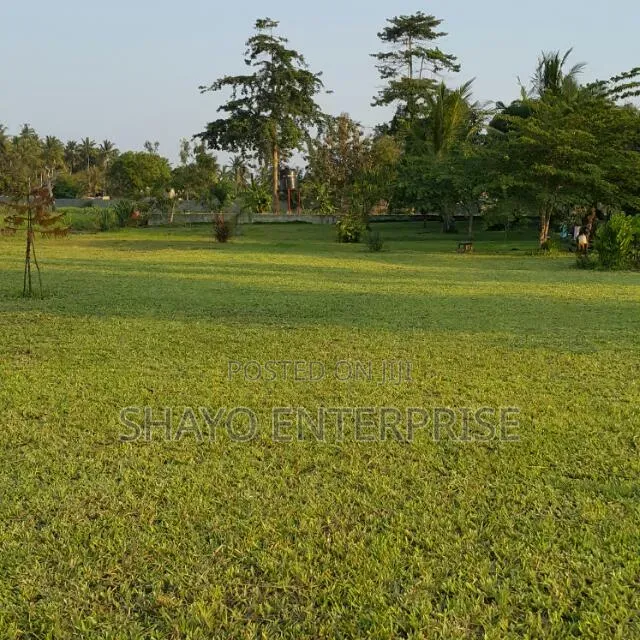 Kiwanja Kinauzwa Mabwepande