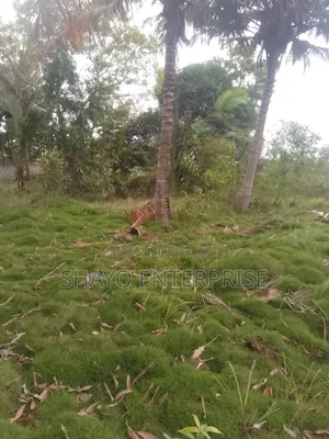 Kiwanja Kinauzwa Mabwepande