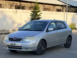 Toyota Allex 2004 Silver