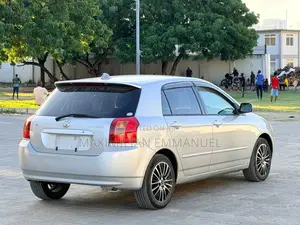Toyota Allex 2004 Silver