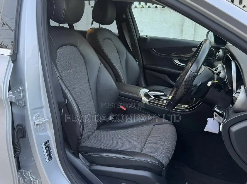 Mercedes-Benz C-Class 2015 Silver