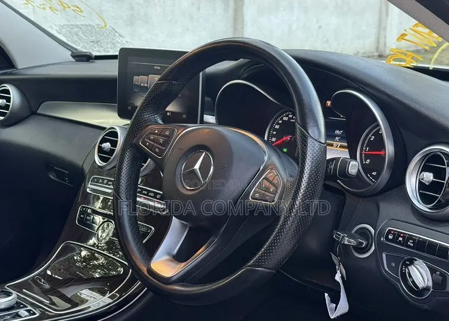 Mercedes-Benz C-Class 2015 Silver