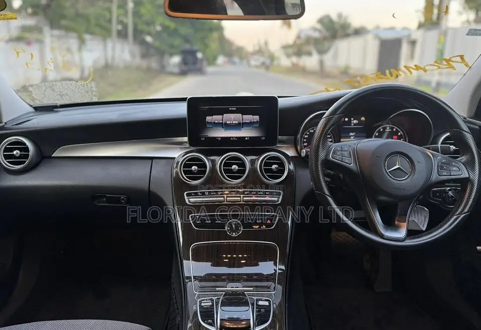 Mercedes-Benz C-Class 2015 Silver
