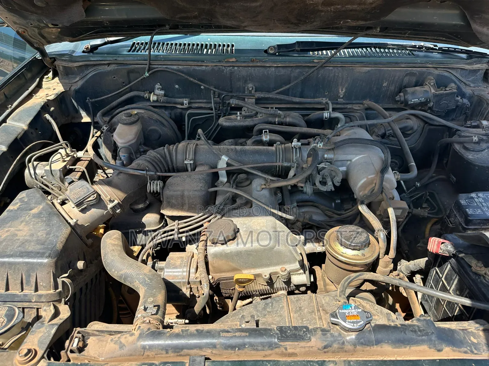 Toyota Land Cruiser Prado 1998 Green