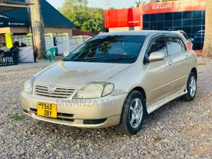 Toyota Allex 2003 Gold