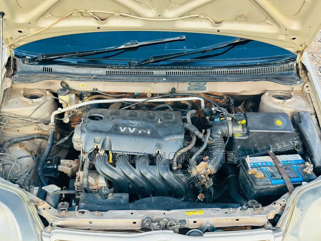 Toyota Allex 2003 Gold