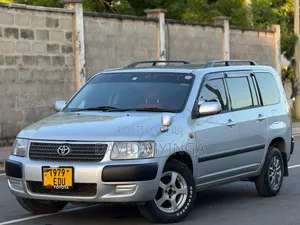 Toyota Probox 2005 Silver