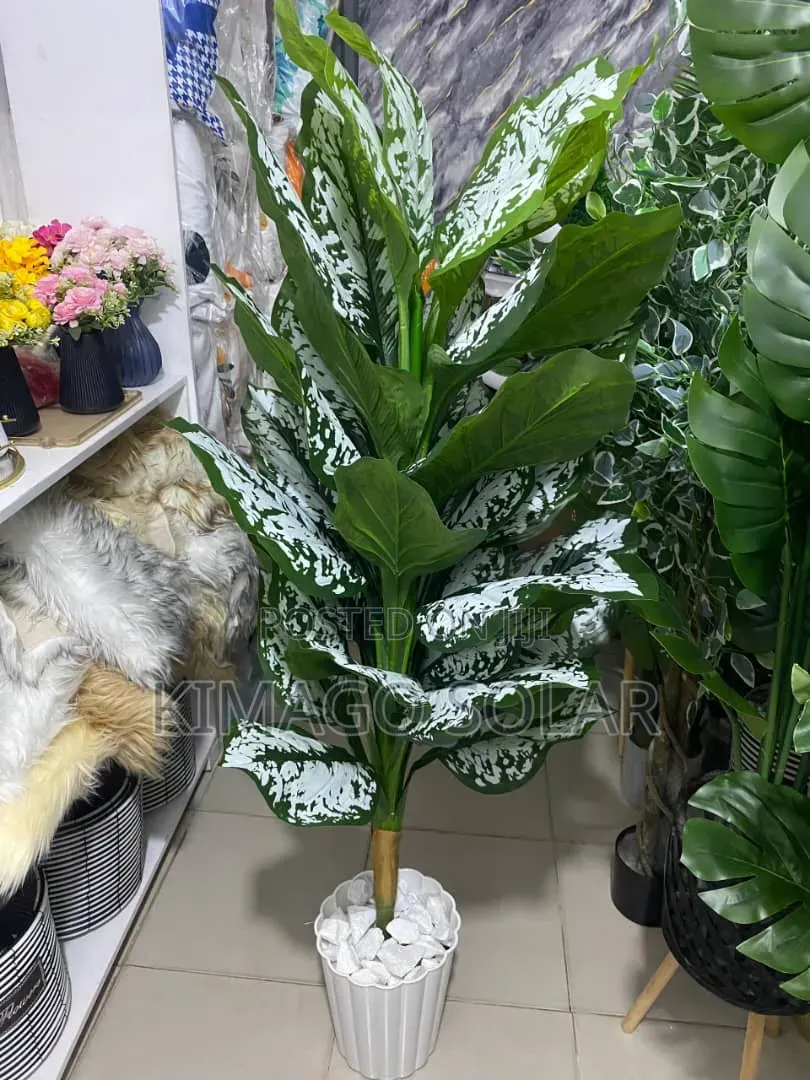 Maua Ya Plastiki Ya Kijani (Dieffenbachia) Ya Kupendezesha Ndani