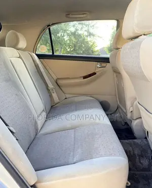 Toyota Corolla RunX 2001 Silver