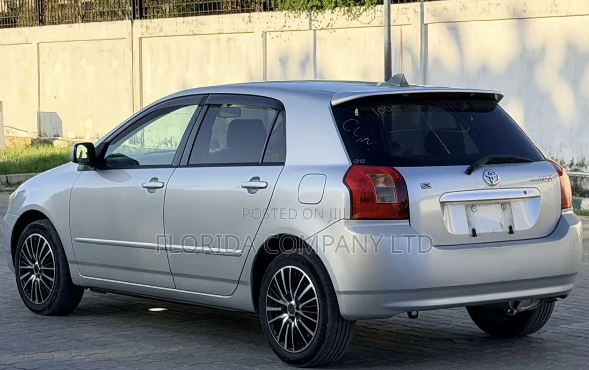 Toyota Corolla RunX 2001 Silver