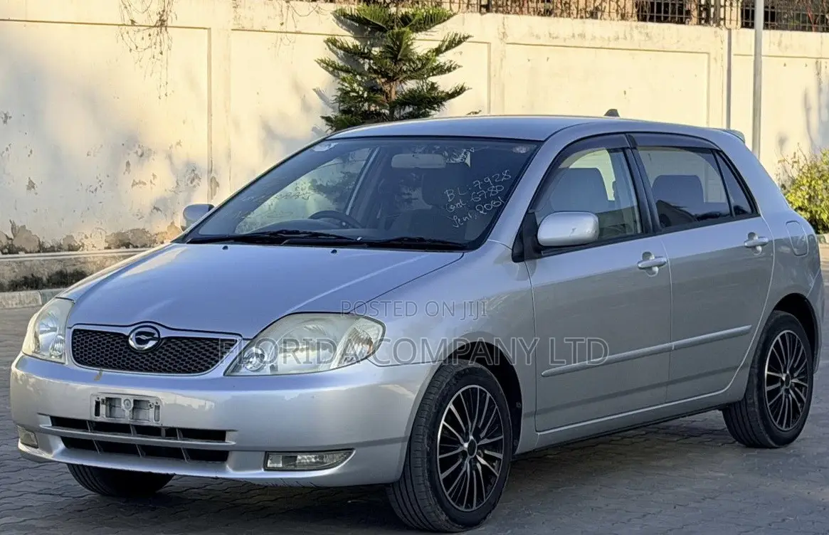 Toyota Corolla RunX 2001 Silver