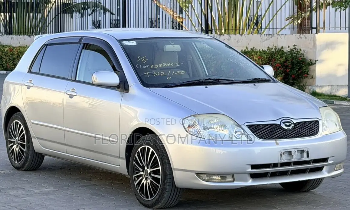 Toyota Corolla RunX 2001 Silver