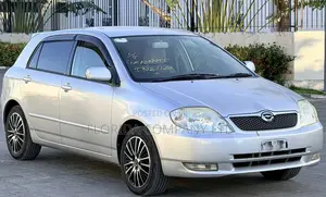 Toyota Corolla RunX 2001 Silver