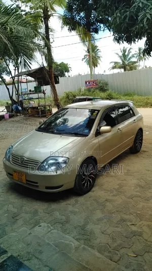 Toyota Allex 2005 Gold