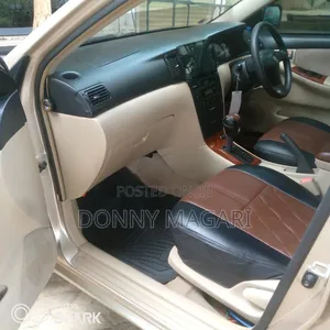 Toyota Allex 2005 Gold