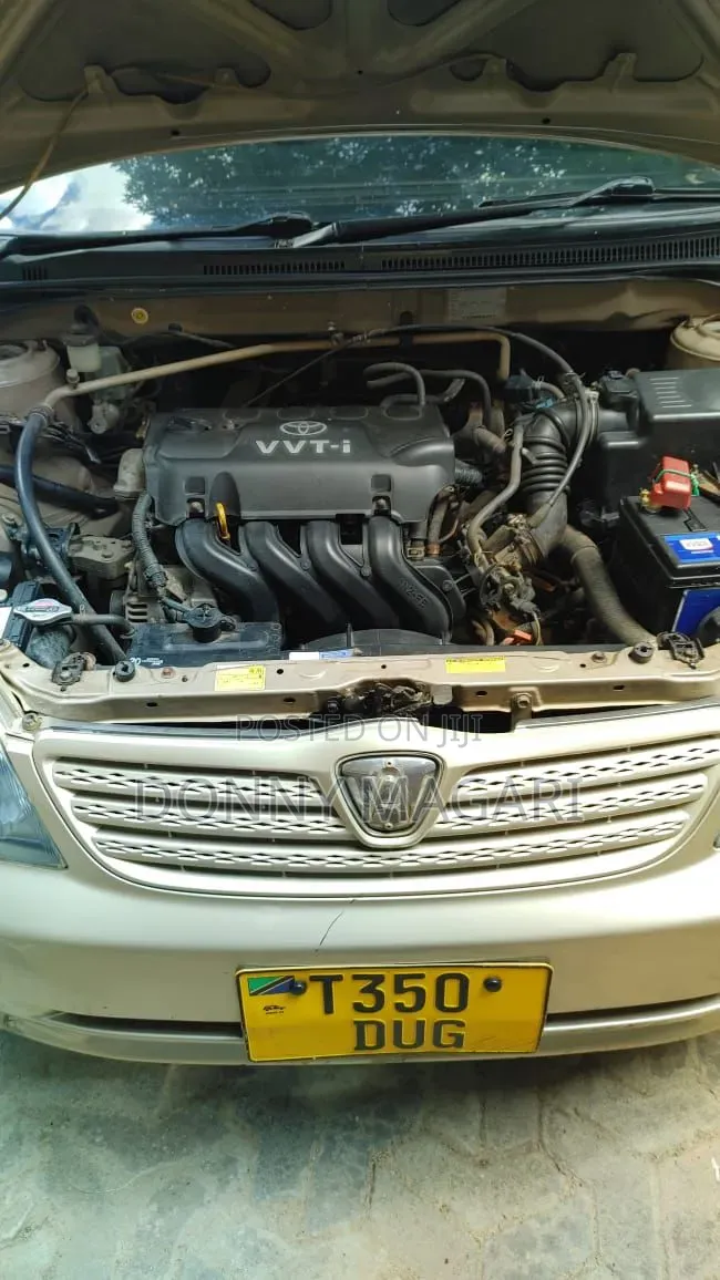 Toyota Allex 2005 Gold