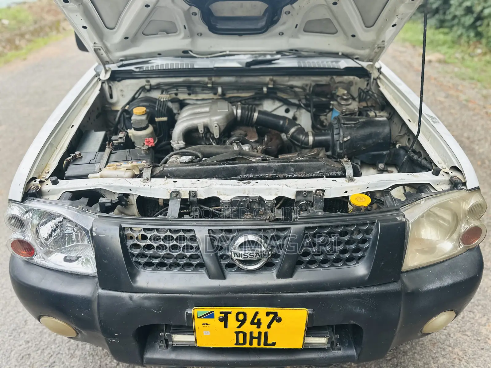 Nissan Hardbody 2015 White