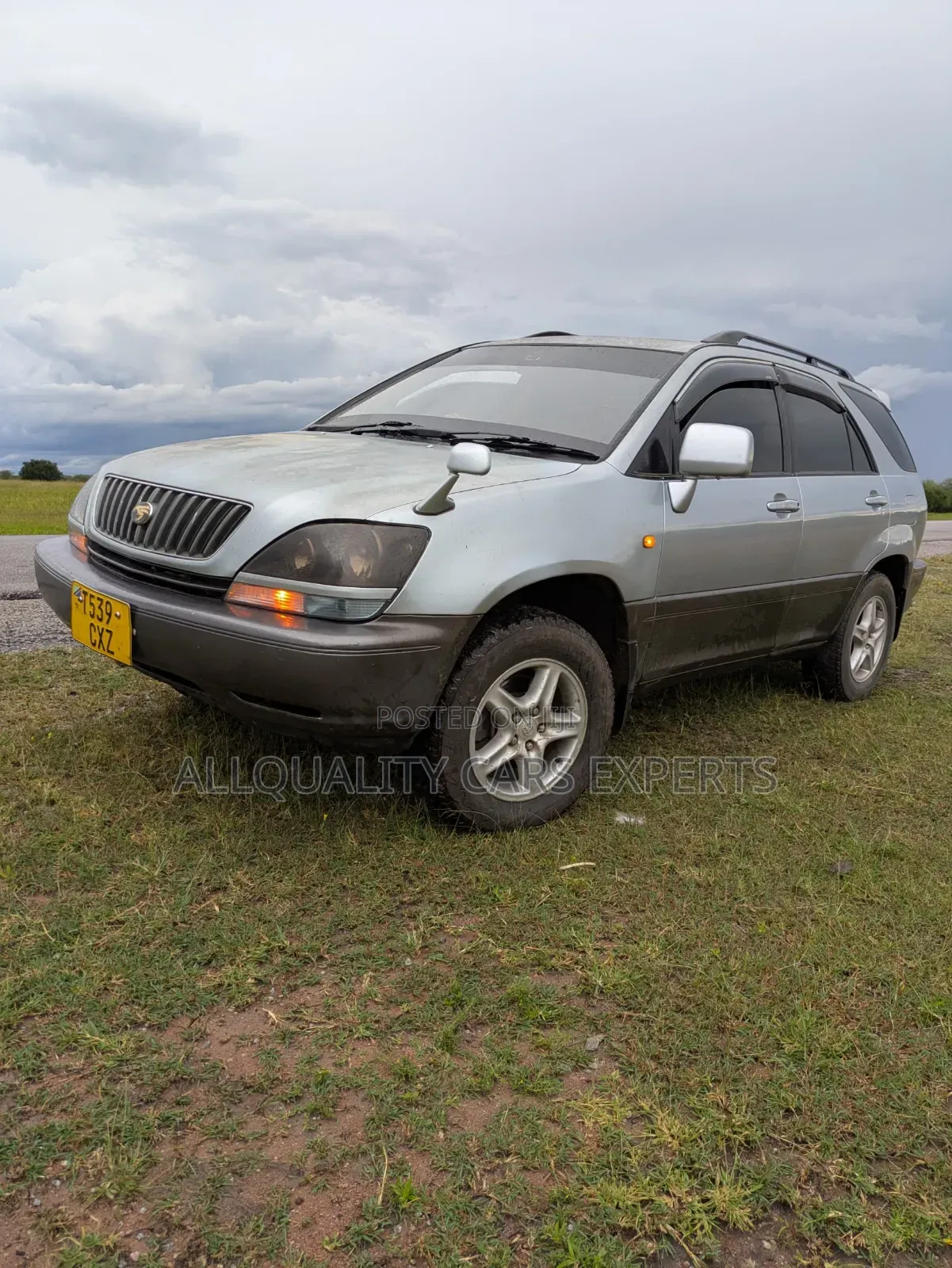 Toyota Harrier 2003 Silver