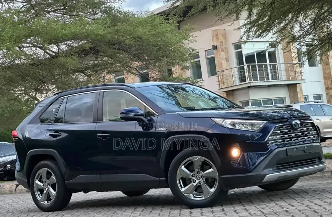 Toyota RAV4 2020 Blue