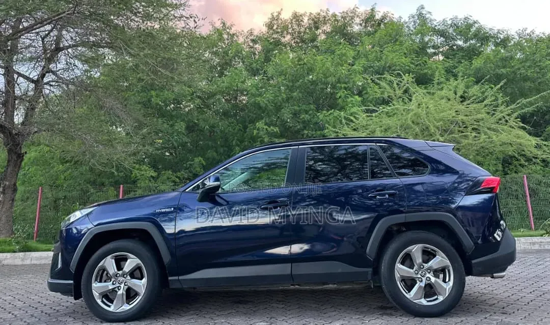 Toyota RAV4 2020 Blue