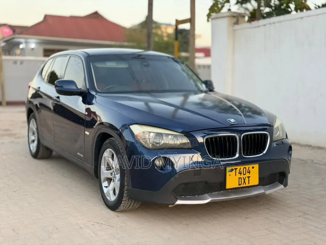 BMW X1 2010 Blue