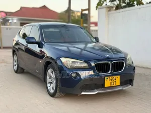 BMW X1 2010 Blue