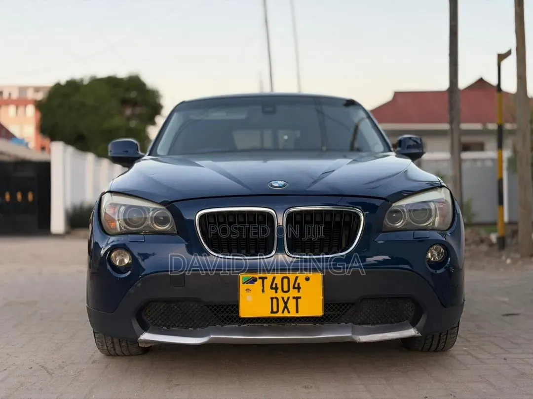 BMW X1 2010 Blue