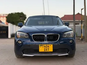 BMW X1 2010 Blue