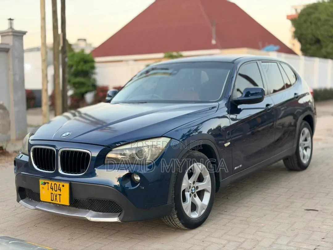 BMW X1 2010 Blue