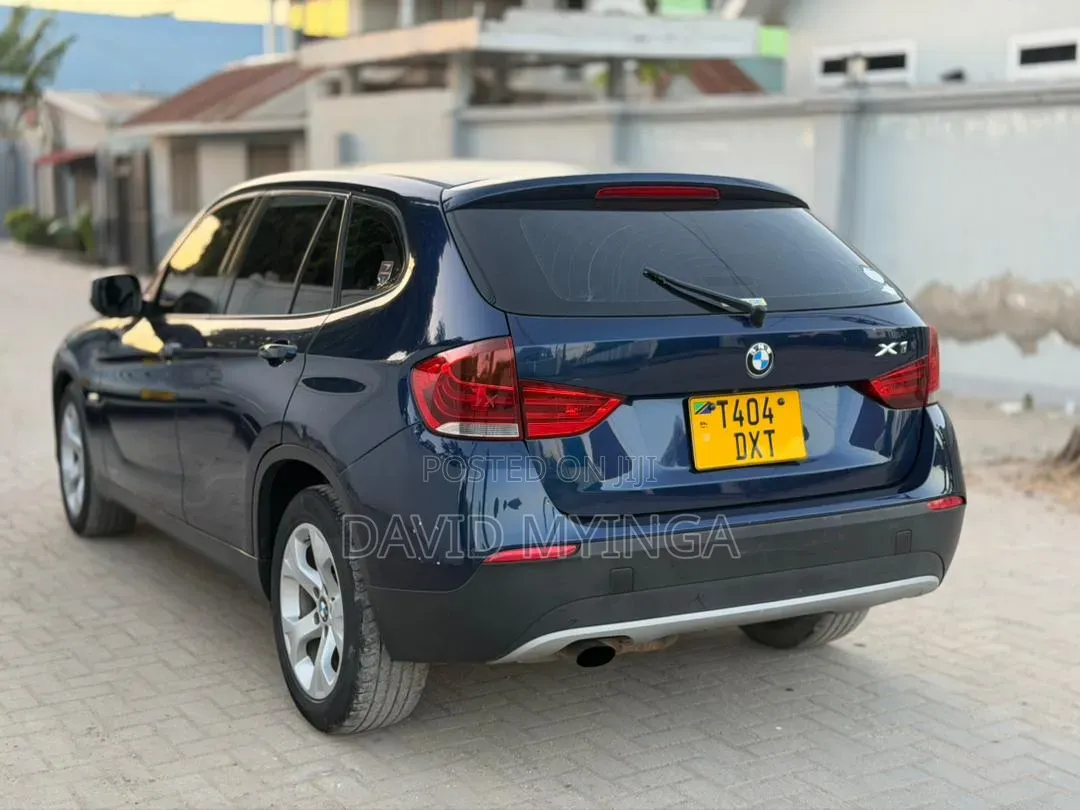 BMW X1 2010 Blue