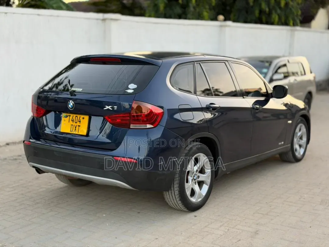 BMW X1 2010 Blue