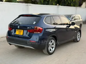 BMW X1 2010 Blue
