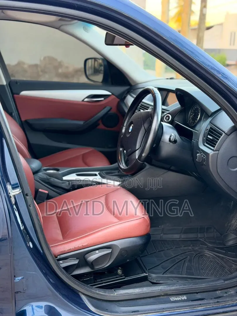 BMW X1 2010 Blue