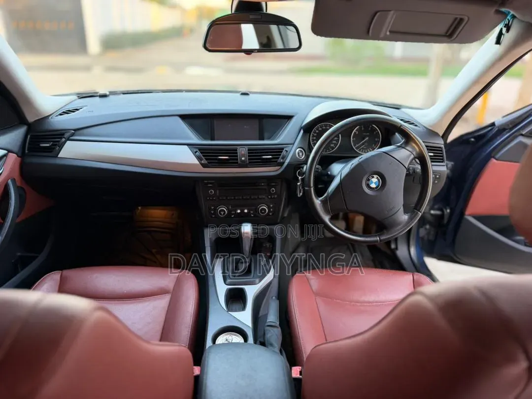 BMW X1 2010 Blue