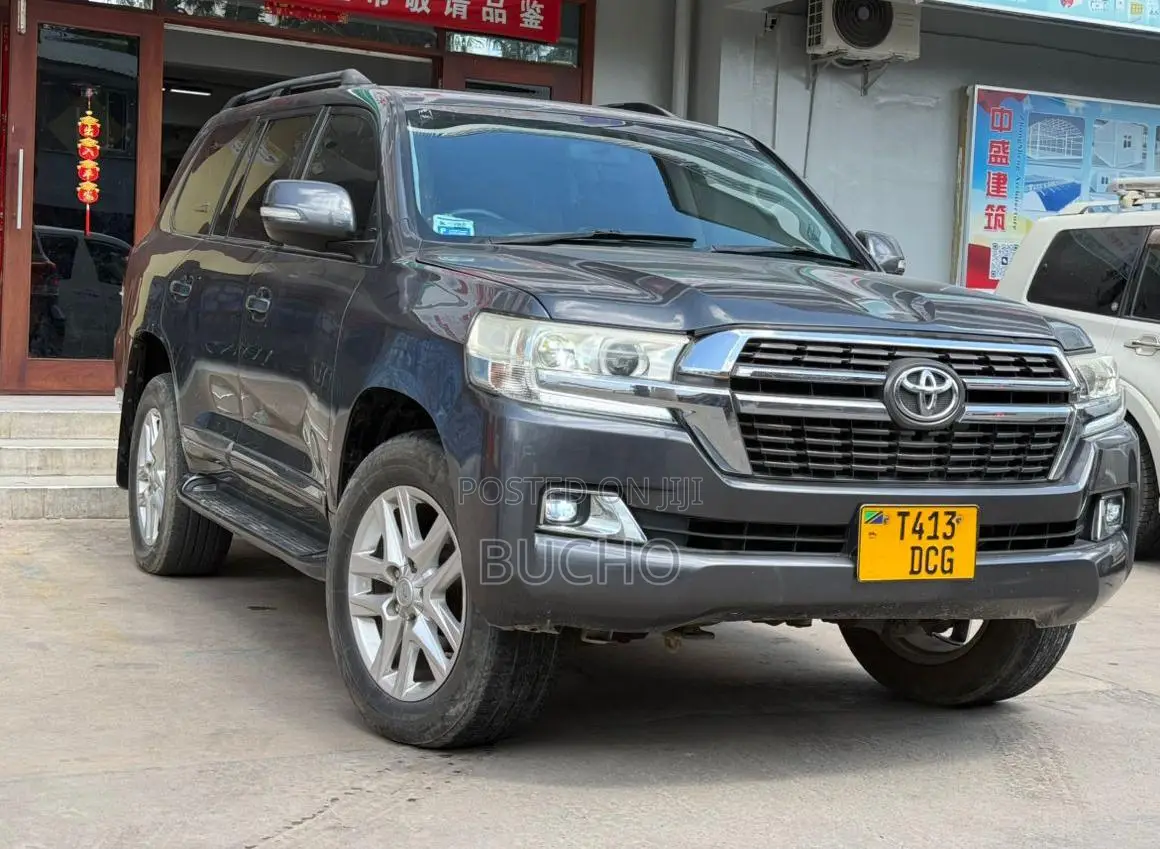 Toyota Land Cruiser 2008 Gray