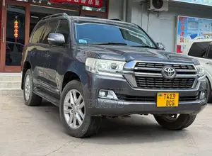 Toyota Land Cruiser 2008 Gray